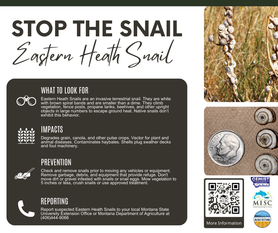 Stop-the-Snail-2-Social.png