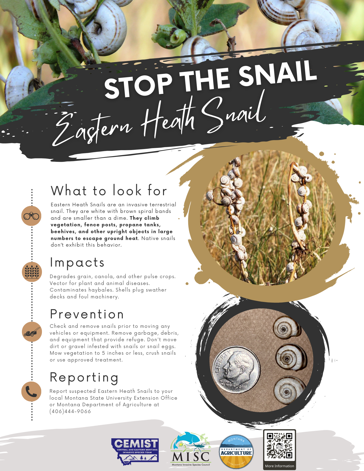 Stop-the-Snail-Info.png