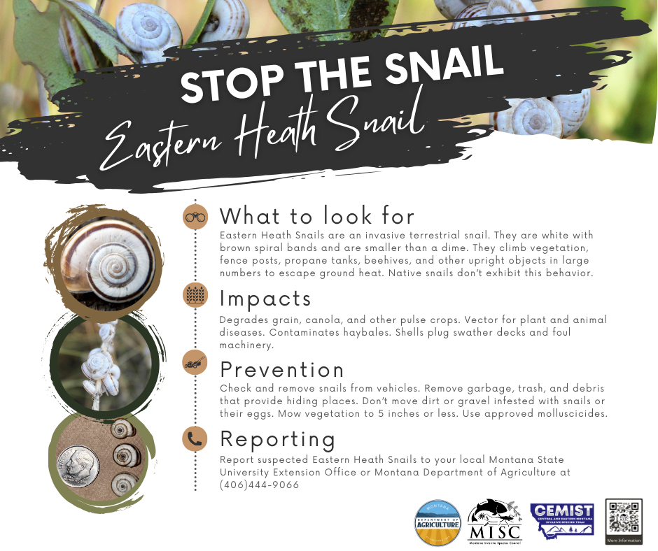 Stop-the-Snail-Social.png