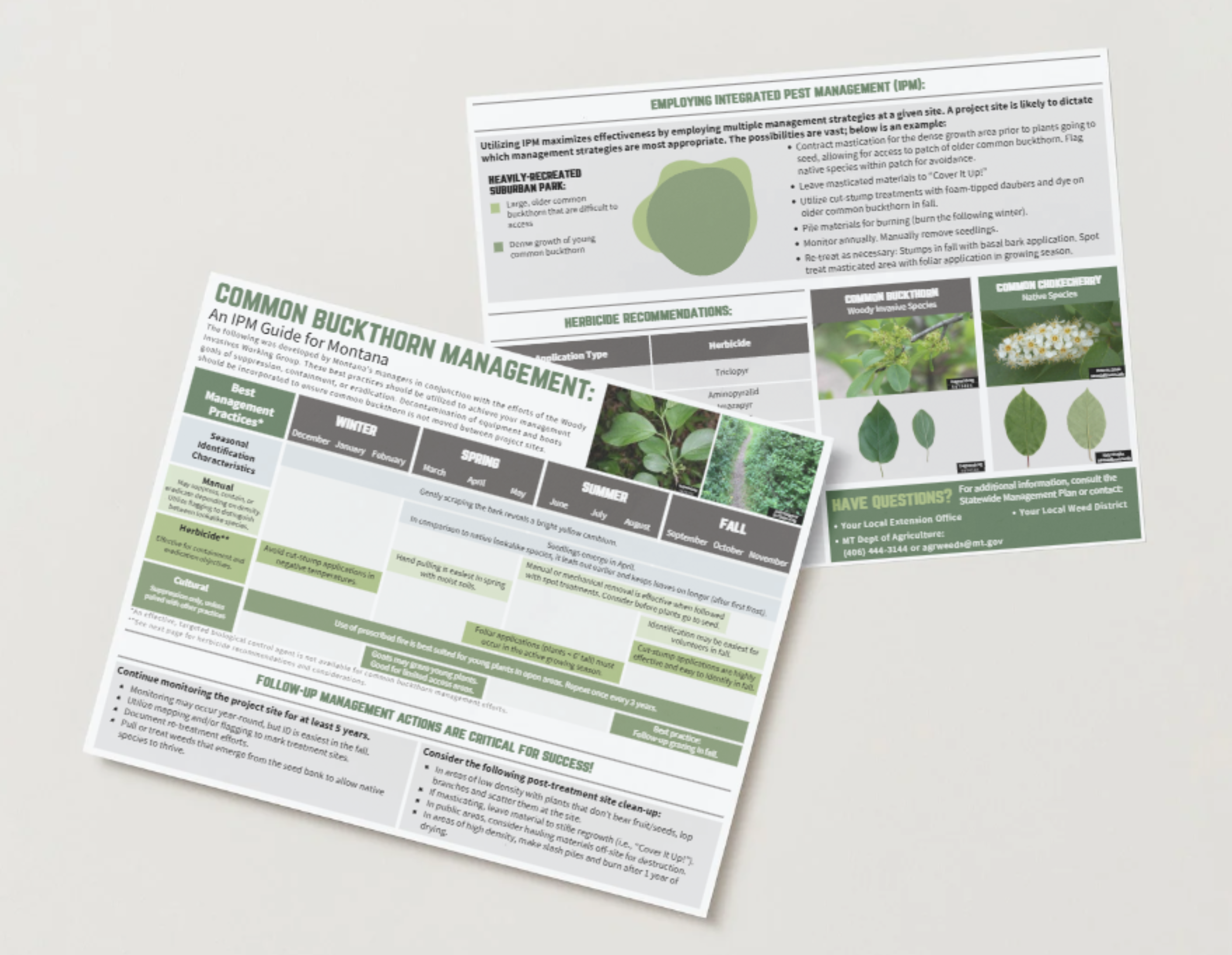 Common Buckthorn IPM