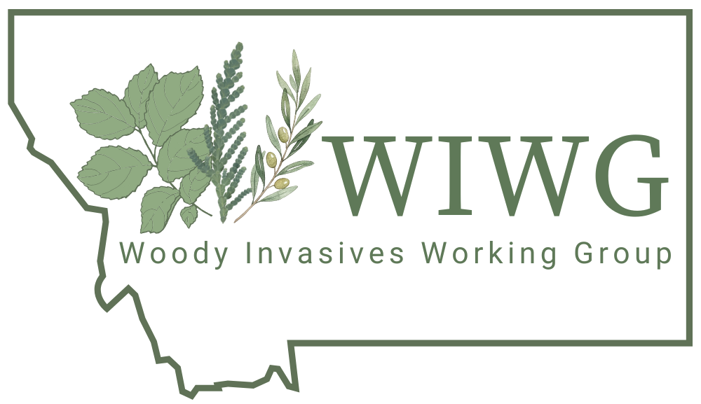 Logo for Woody Invasives Working Group
